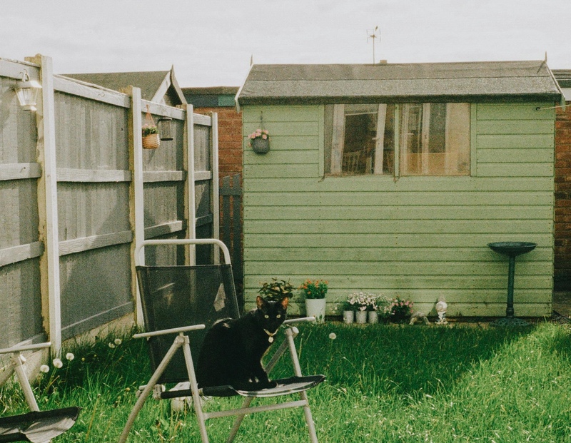 Keeping your scooter in a dry, safe place like a shed is a great idea.